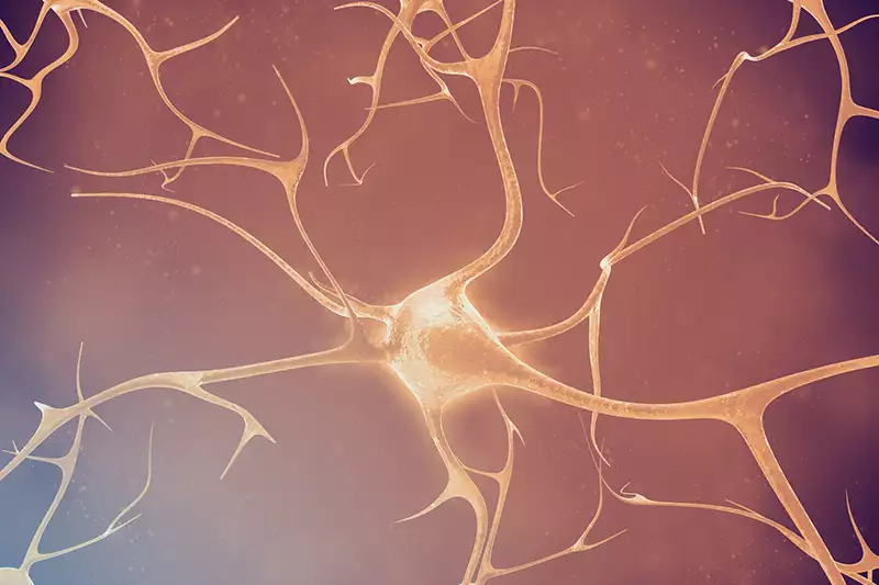 AC Immune Roadmap | Pioneering Precision Medicine for neurodegenerative diseases